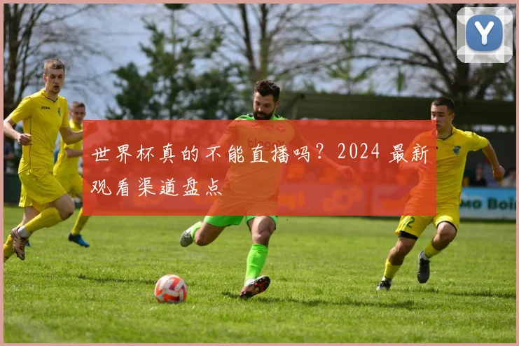 世界杯真的不能直播吗?2024 最新观看渠道盘点