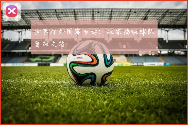 世界杯外围赛专访：独家揭秘球队晋级之路